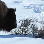 Profile Picture of Eric David (@edavid17) on Flickr