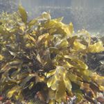 god__dammit - Instagram Profile Picture of god__dammit (@god__dammit) on Instagram