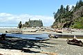 Profile Picture of Olympic National Parkon Wikipedia