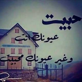 Profile Picture of Rana Shehadeh (@ranashehadeh) on Instagram