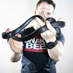 Profile Picture of Joe Phelan (@portcitypet) on Instagram