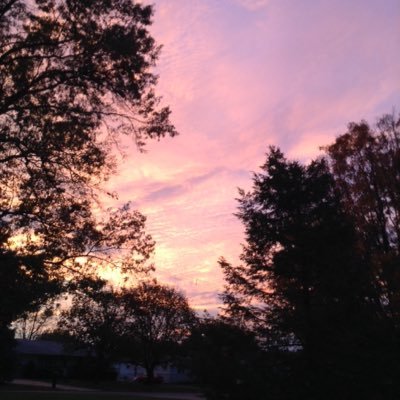 Profile Picture of Ian Shelley (@ishelley33) on Twitter
