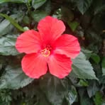 Profile Picture of Carlota Castillo (@carlota.castillo.7355) on Facebook