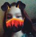 Profile Picture of Elizabeth Helton (@elizabeth.helton.1654) on Facebook