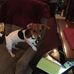 Profile Picture of Jean Armbruster (@jean.armbruster.3) on Facebook