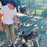 Profile Picture of Kevin Starnes (@starneskevin1) on Instagram