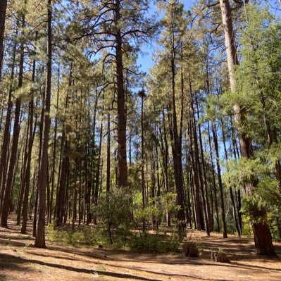 Profile Picture of The 3 B’s (@DanPetschow) on Twitter