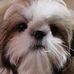 Profile Picture of Barbara Walker Crain (Barbara Walker Crain) (@barbara.w.crain) on Facebook