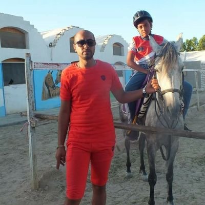 Profile Picture of Sherif Sakr (@SherifS66046293) on Twitter