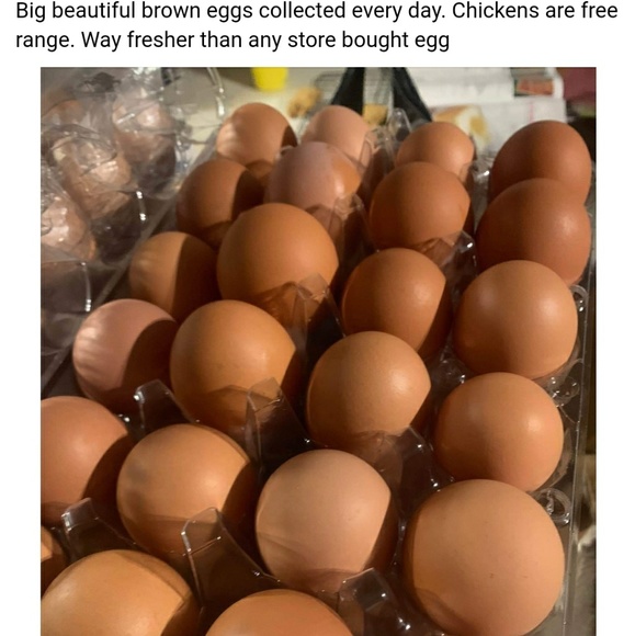 Profile Picture of Nancy Schweizer (@chasejude2) on Poshmark