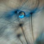 Profile Picture of Caroline Kremer (@kremer.caroline) on Instagram