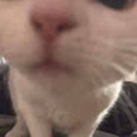 Profile Picture of Kenneth Vu (@kenneth-vu-5) on Quora