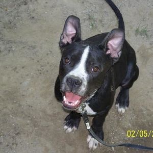 Profile Picture of Jessica Grimley (@xocamarobaby22) on Myspace