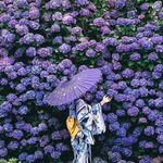 Profile Picture of Roberta Mancini (@roberta_mancini88) on Instagram