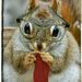 Profile Picture of Cheryl Perron (@mayflyteton) on Pinterest