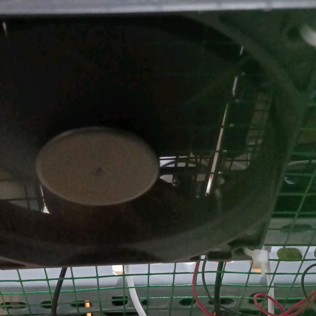 Profile Picture of agnesfields1976 (@agnesfields1976) on Tiktok