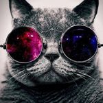 Profile Picture of ADAMCELIK (@adam_nine10) on Instagram