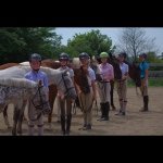 Profile Picture of Christina Granger (@canter_the_oxer2) on Instagram