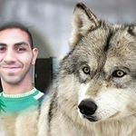 Profile Picture of Adam Alaraby Reflection (@adamdescriptionstory) on Instagram