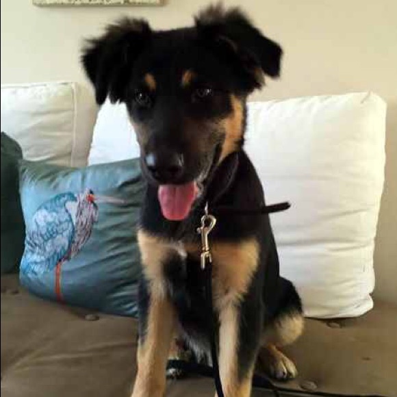 Profile Picture of David Akhavan (@davidakhavan) on Poshmark