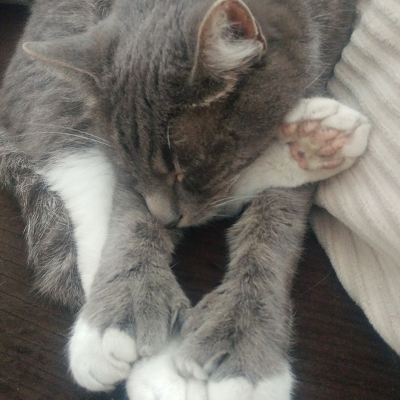 Profile Picture of Keith Walker (@ian18dads8) on Poshmark