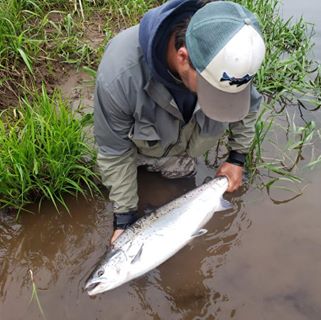 Profile Picture of Christopher Sinclair (Christopher S) (@ChrisSinclair1996) on Facebook