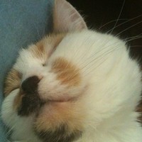 Profile Picture of Steve Bickel (@steve-bickel-2) on Quora