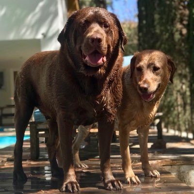 Profile Picture of Mark Rye (@markrye01) on Twitter