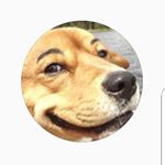 Profile Picture of Gavin Bard (@gavinthepotato) on Instagram