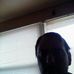 Profile Picture of Chris Tomasini (@chris.tomasini.14) on Facebook
