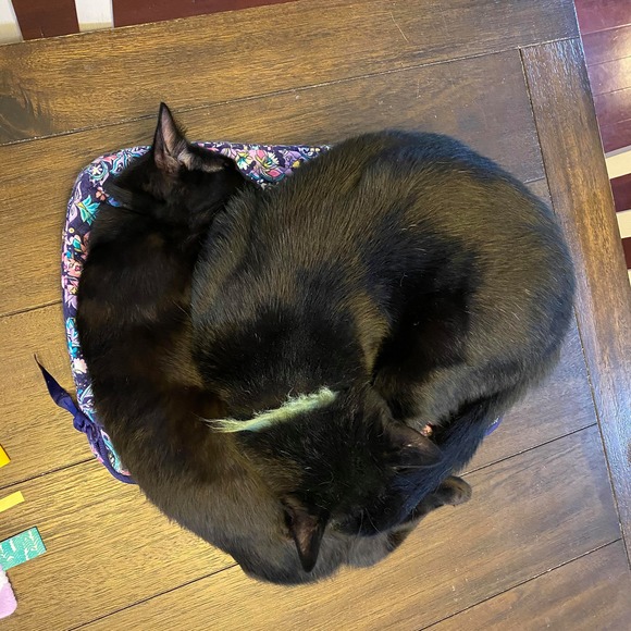 Shay Perez - Poshmark Profile Picture of Shay Perez (@shayperez235) on Poshmark