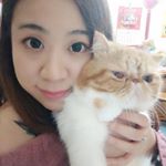 Profile Picture of Chung Wing B (@wingb613) on Instagram