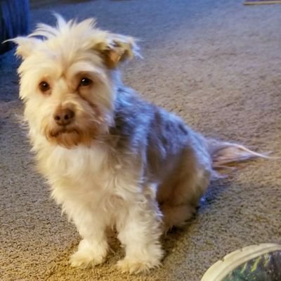 Profile Picture of Kathy Kern (@KathyKe85096725) on Twitter