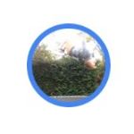 Profile Picture of Sam Wilton-davies (@samwiltondavies05) on Instagram