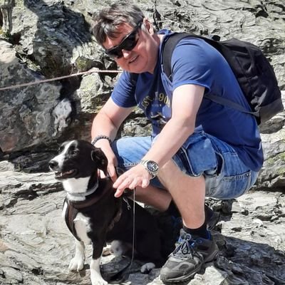 Profile Picture of David Lát (@DavidLat75) on Twitter