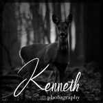 Profile Picture of kenneth cleynhens (@kenneth.photography0001) on Instagram