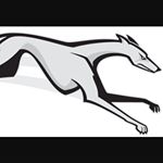 Profile Picture of Jim Blanding (@jimblanding17) on Instagram