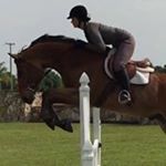 Profile Picture of Amanda Holloway (@aholloway81) on Instagram