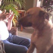 Profile Picture of Richard Estrada (@gestrada7) on Pinterest