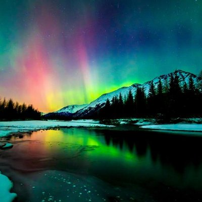 Profile Picture of Shad Gibbons (@shadfish) on Twitter