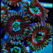 Profile Picture of Eric Beecham (@ericbeecham1757) on Youtube