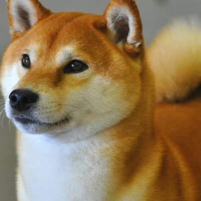 Chris Jutras - Twitter Profile Picture of Chris Jutras (@angrycanadian61) on Twitter