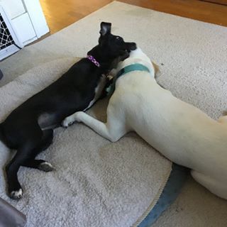 Profile Picture of Joe Rodman (@joe.rodman.54) on Facebook