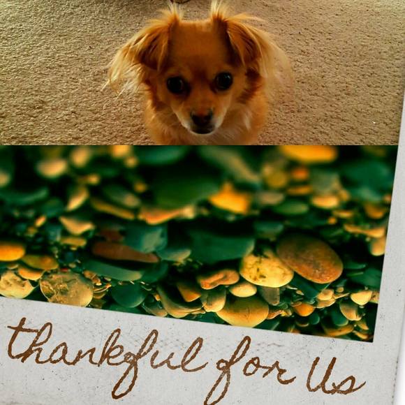 Profile Picture of Yvonne Marier (@yocomama01) on Poshmark