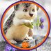 Profile Picture of Debra McCall (@debra.mccall.3154) on Facebook