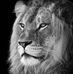 Profile Picture of Robin Thakut (@robin.thakut.37) on Facebook