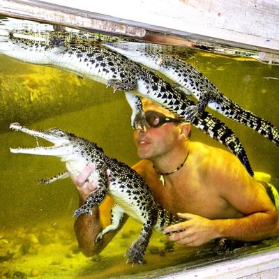 Profile Picture of James Hennessy (@JamesReptileZoo) on Twitter