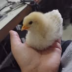 Profile Picture of Patrick Ortiz Cloud (@patrick.ortizcloud) on Facebook