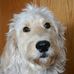 Profile Picture of Ann Kasparek (@ann.kasparek) on Facebook