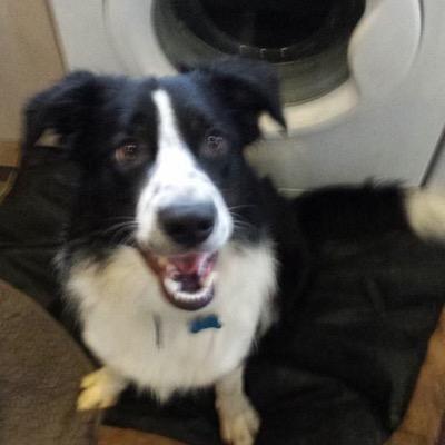 Profile Picture of Tamara Williams (@kevtam69) on Twitter